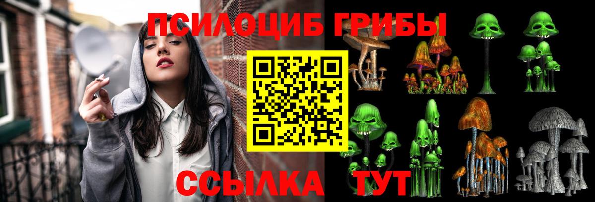 Фролово  Галлюциногенные грибы Cubensis  Вход с VPN 